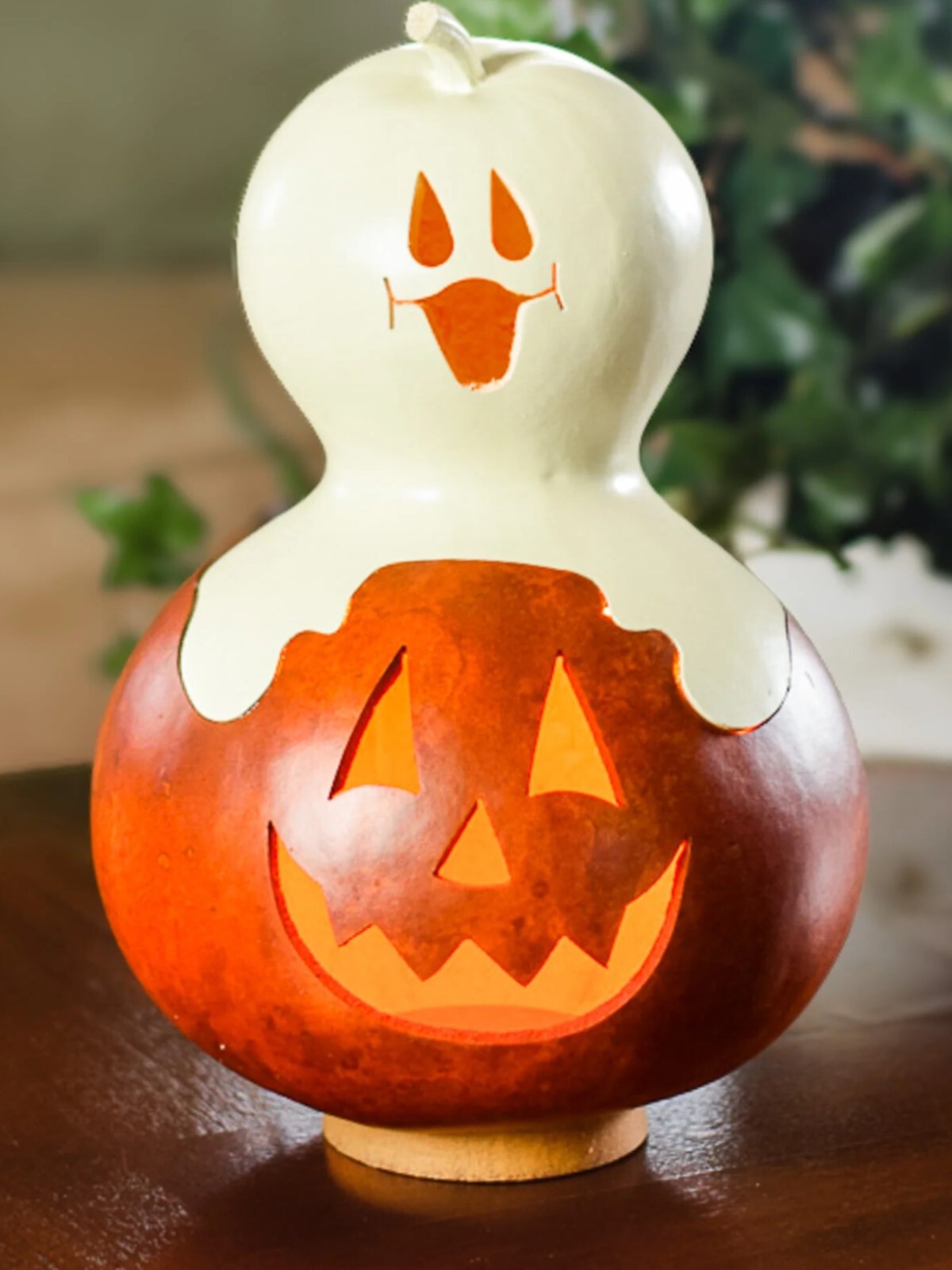 CASPER JACK GOURD BY MEADOWBROOK GOURDS-LIGHTS UP