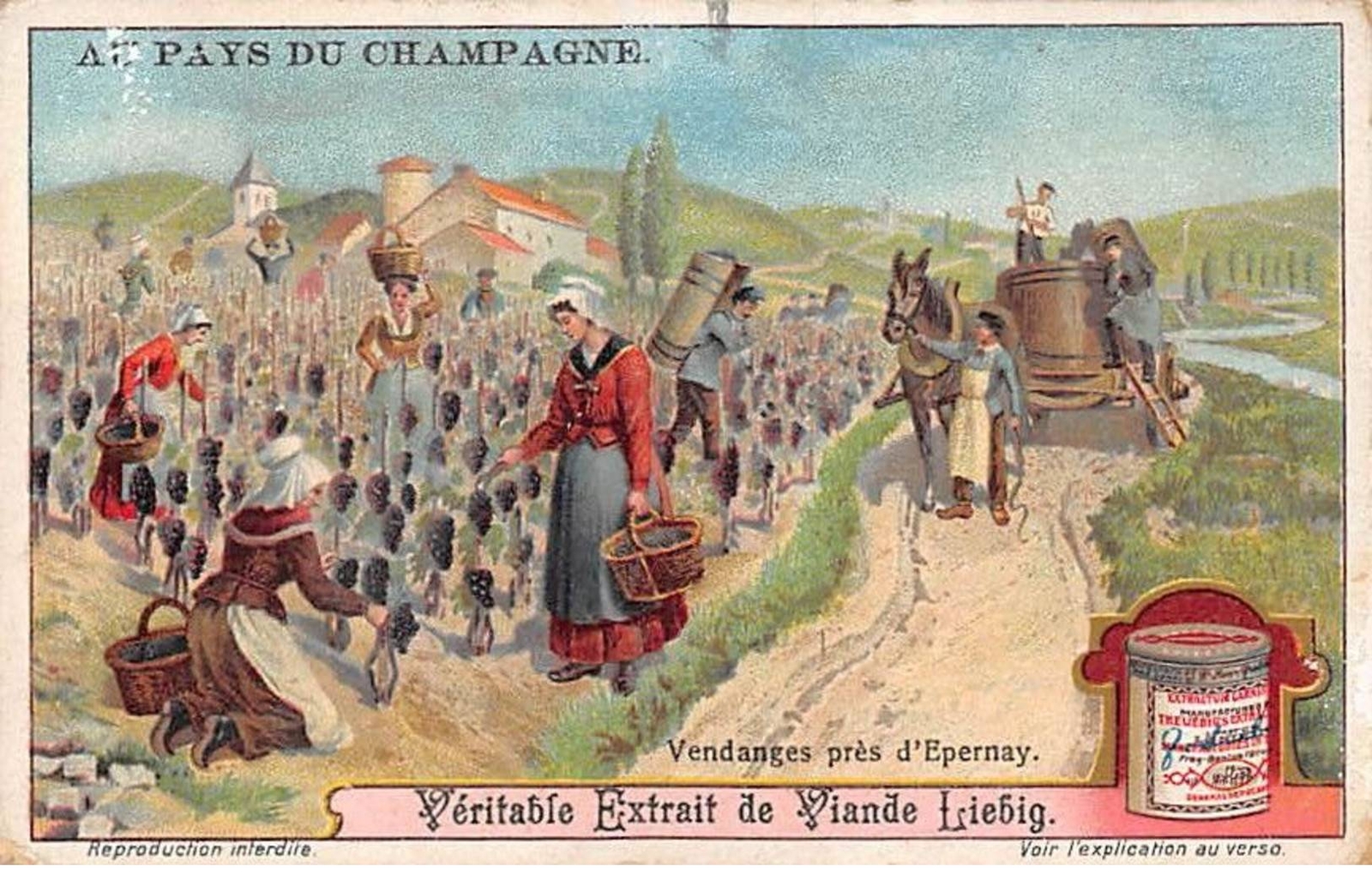 Chromos.AM13177.Liebig.Au pays du Champagne.Vendanges near Epernay Chromos.AM13177.Liebig.Au pays du Champagne.Vendanges near Epernay