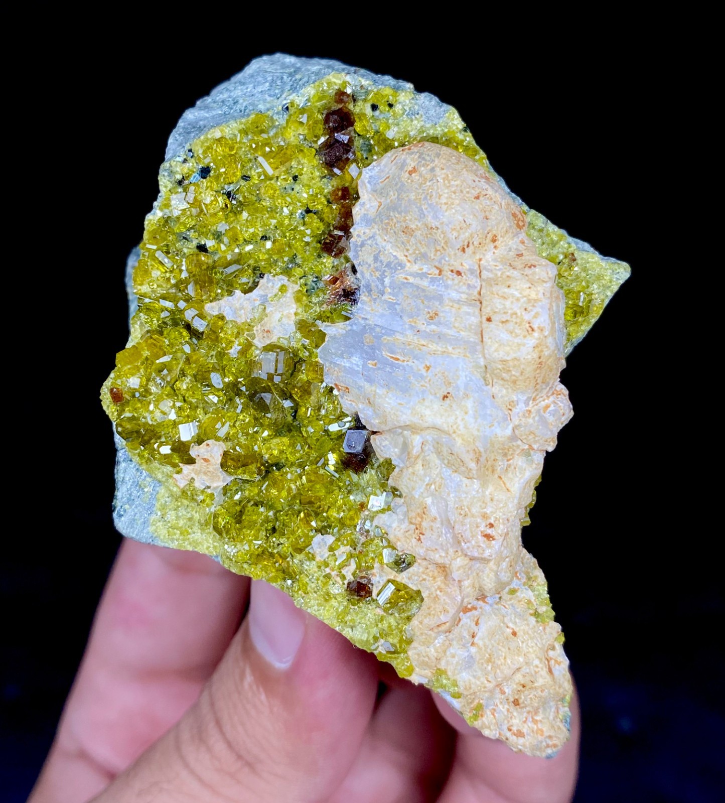Natural Vesuvianite, ANDRADITE Garnet, Mica, Magnatite & Epidote Crystals Matrix Natural Vesuvianite, ANDRADITE Garnet, Mica, Magnatite & Epidote Crystals Matrix