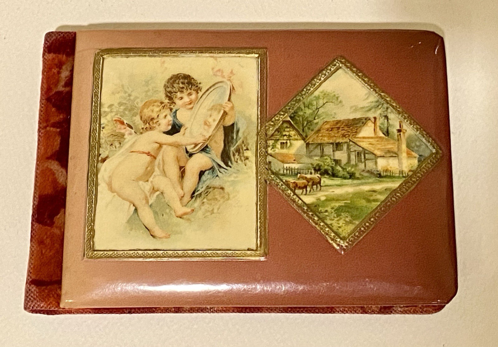 Antique 1903 Autograph Keepsake Pink Celluloid Cherub Album Morrison Wisconsin