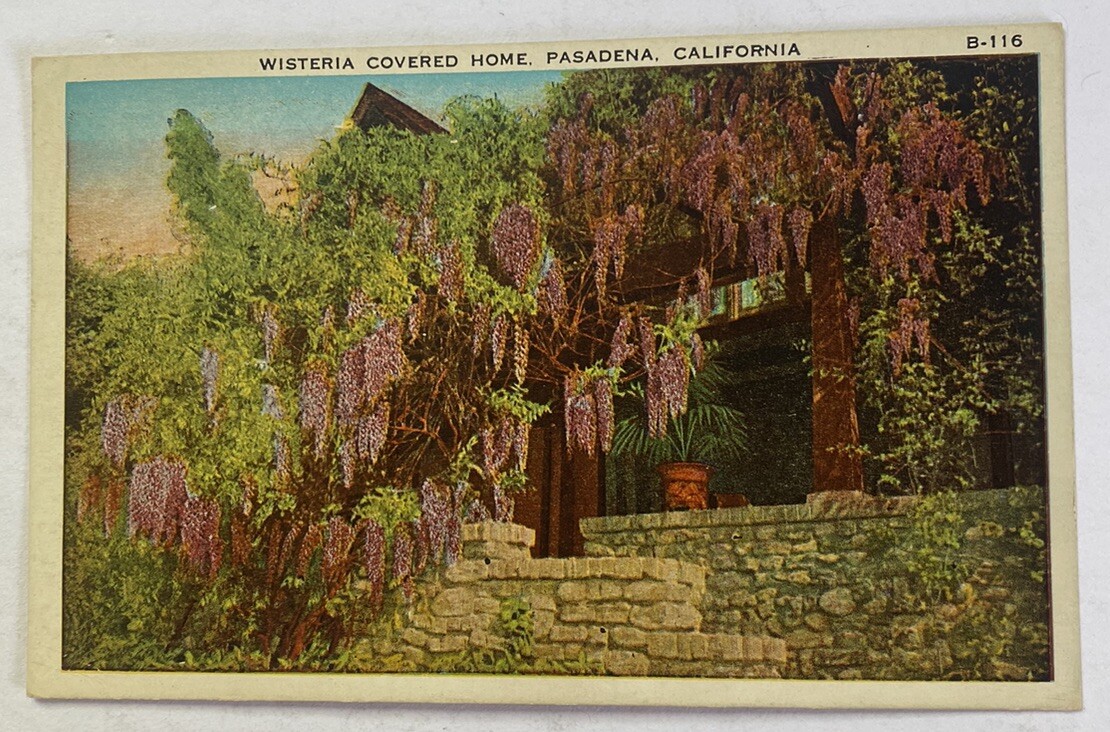 Vintage Postcard c1934 ~ A Wisteria Covered Home in Pasadena California ~ CA