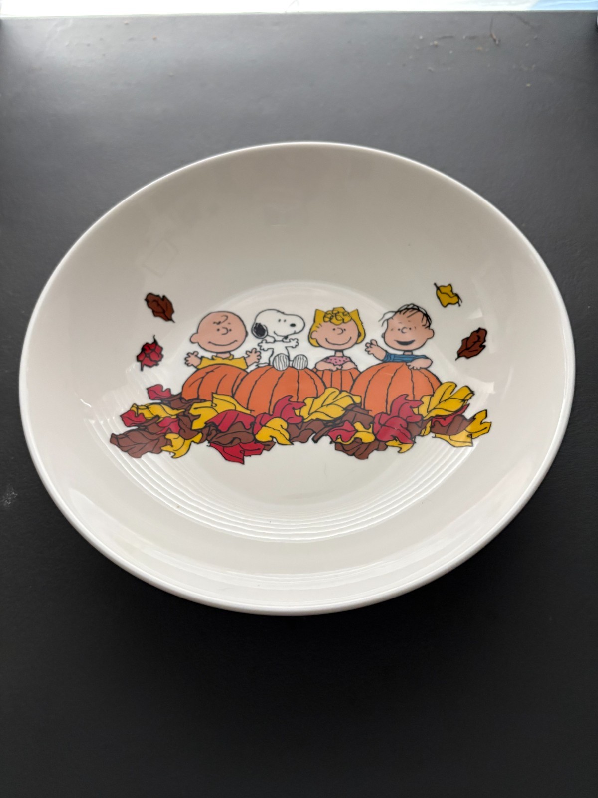 Peanuts Snoopy & Gang Pumpkin Patch SUDDENLY IT'S FALL 9