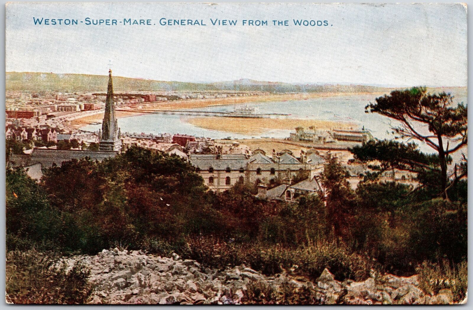 Weston-Super-Mare General View from the Woods England Beach Buildings Postcard