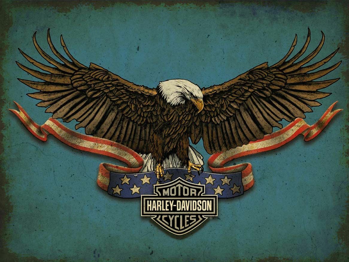 HARLEY DAVIDSON AMERICAN BALD EAGLE 16 HARLEY DAVIDSON AMERICAN BALD EAGLE 16