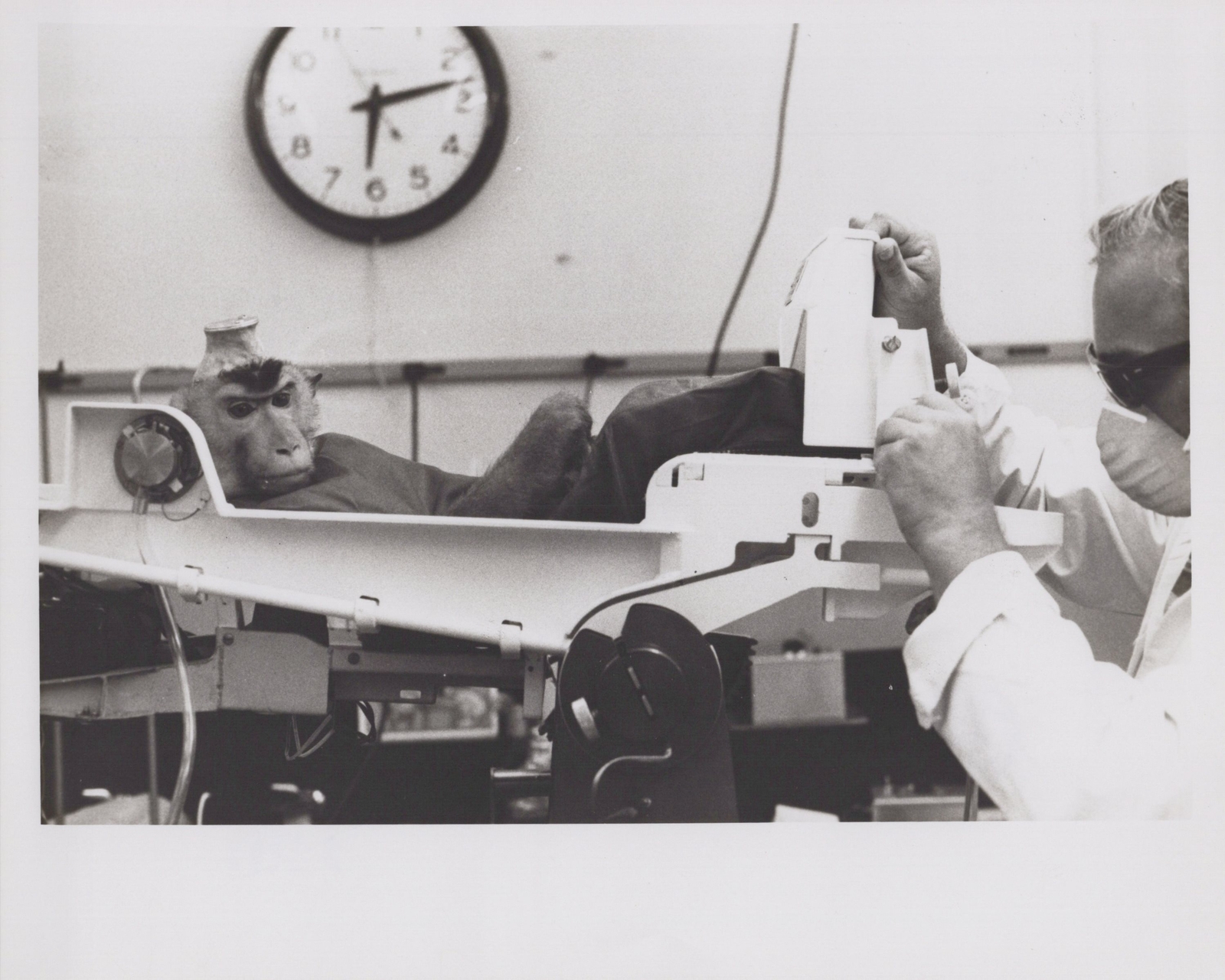 NASA Space Monkey Exam Kennedy Bio-Satellite 1969 - Original NASA Photo