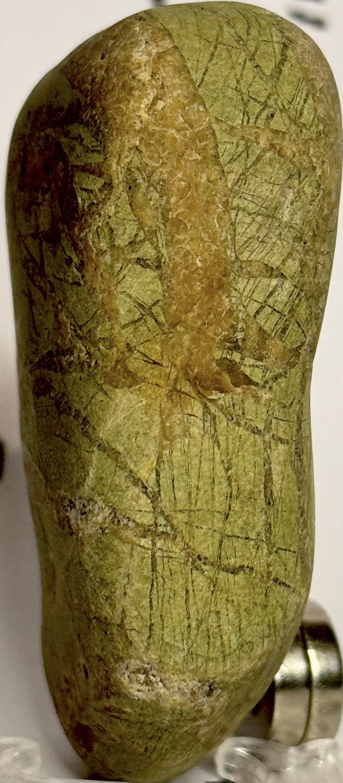 Pre Historic Man Made Authentic Carved Ancient  Stone Effigyfigure,  3.5 oz • VA