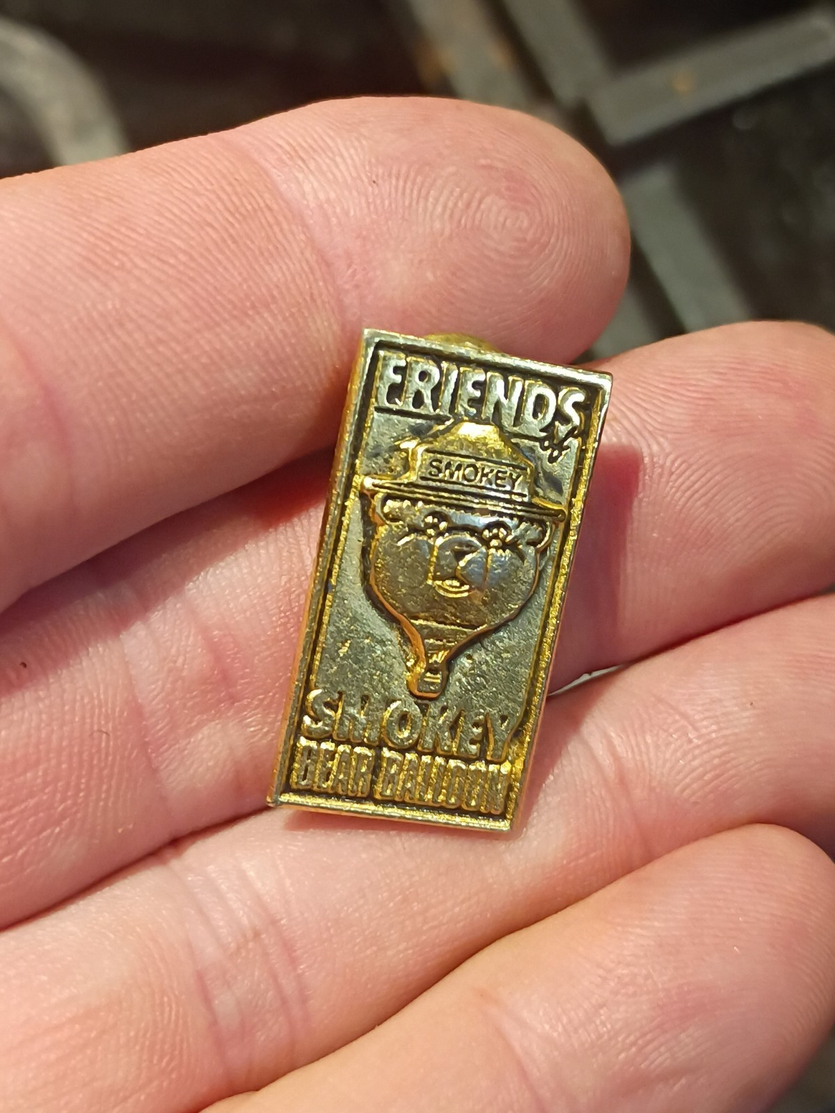 VTG Smokey Bear Hot Air Balloon Friends Pin Ltd Ed.  nice clean vintage piece 