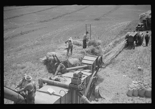 Photo:Brookeville Maryland 1937 Oat Threshing Tractor Harvest Farm Workers