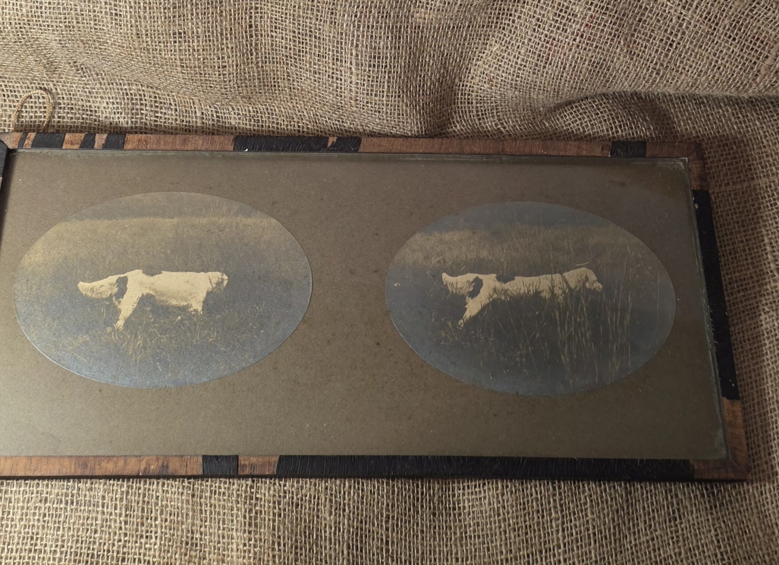 Vintage Art-Dogs-Two Oval Mounted Dog Photographs in Vintage Frame