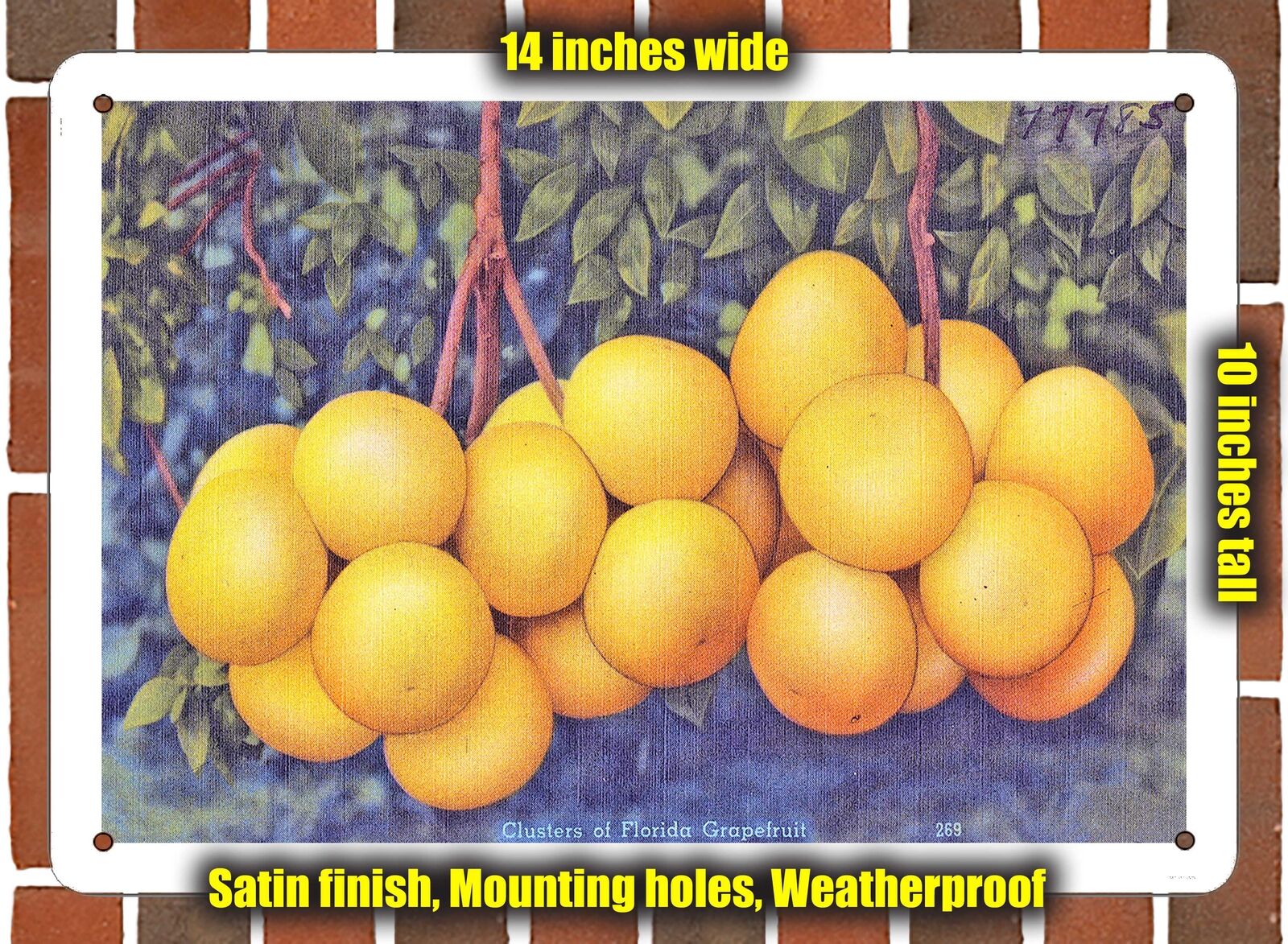 METAL SIGN - Florida Postcard - Clusters of Florida Grapefruit