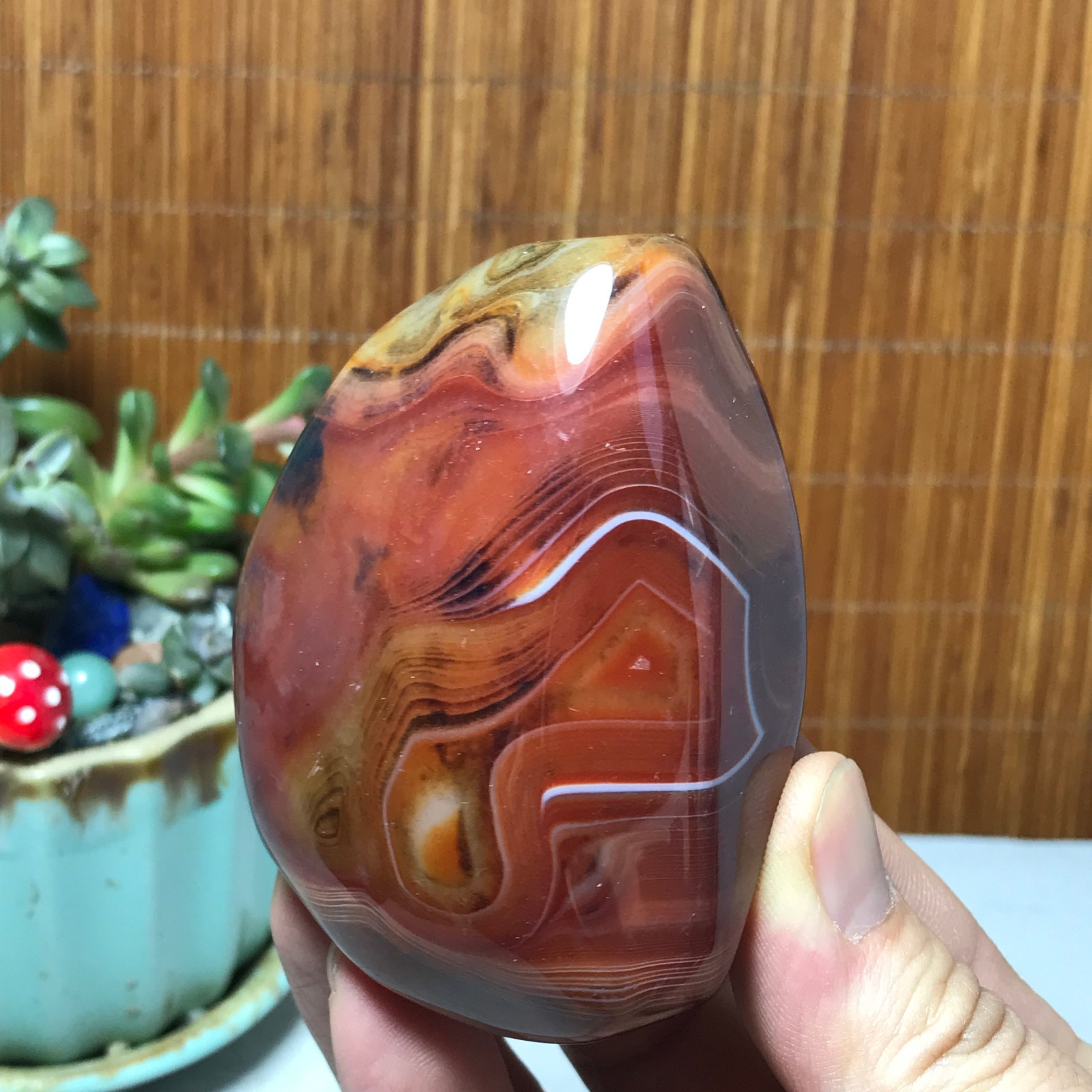 Natural Red Banded Agate Palm Stone Polish Crystal Healing Collection 216g A7768