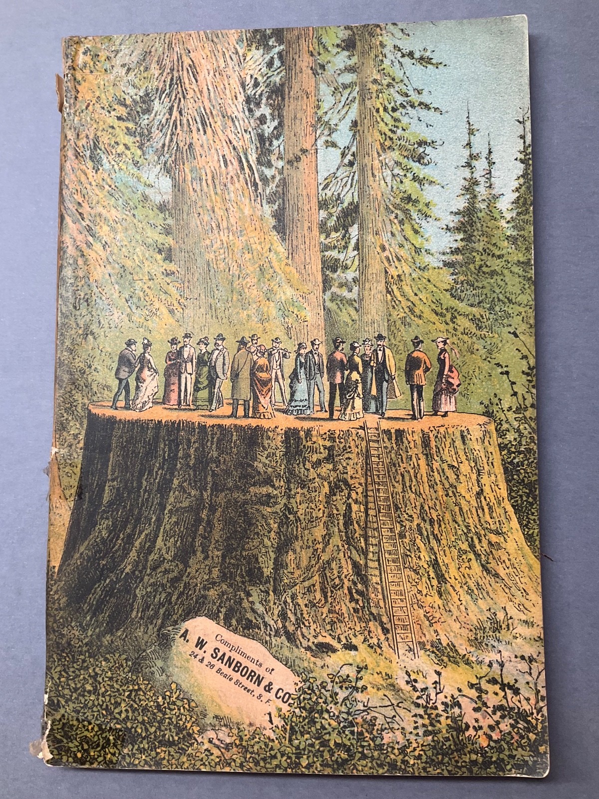 1883 booklet BEAUTIES OF CALIFORNIA Griswold - Yosemite San Francisco in color
