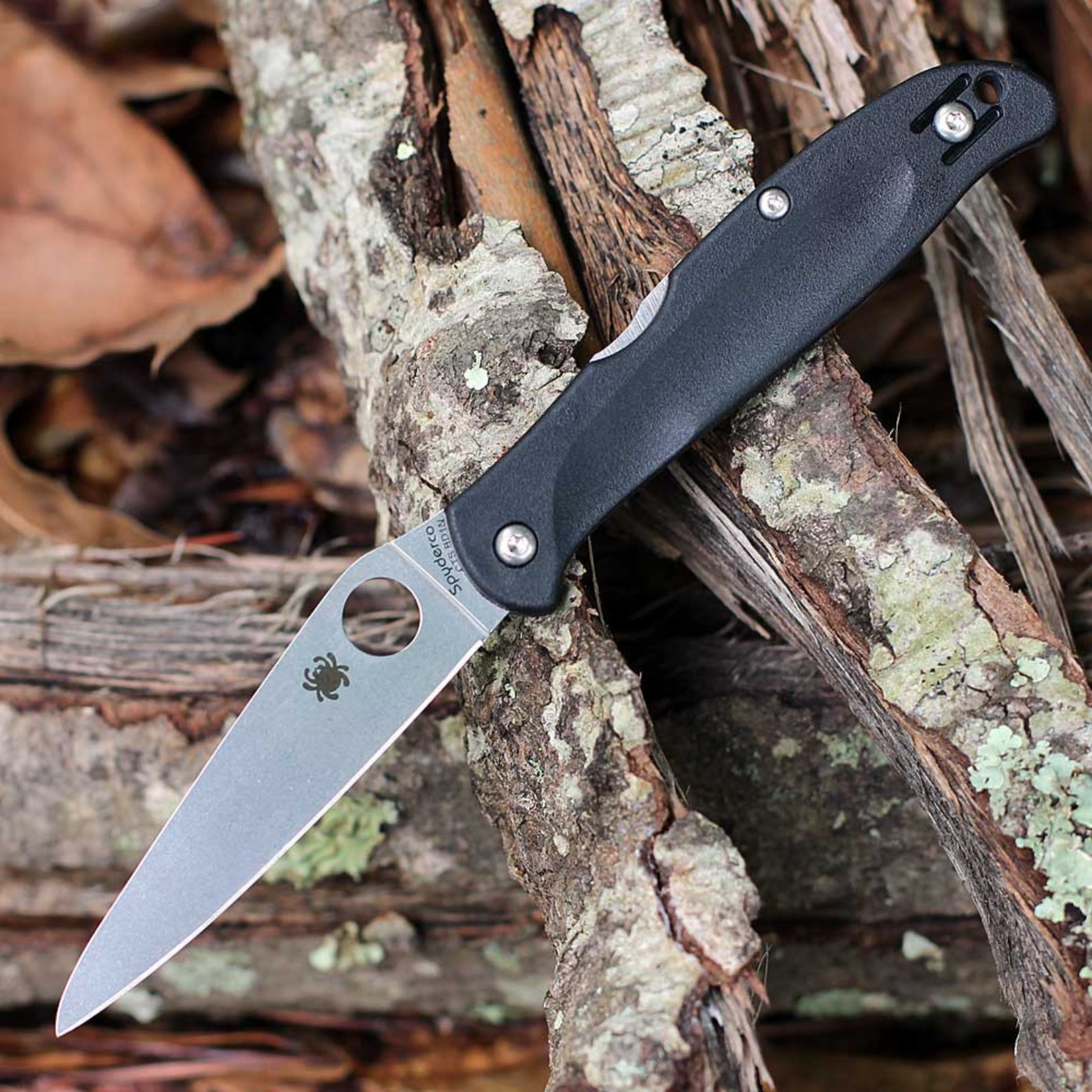 SPYDERCO CHARISMA LOCKBACK FOLDING KNIFE CTS-BD1N STAINLESS BLACK FRN C259PBK