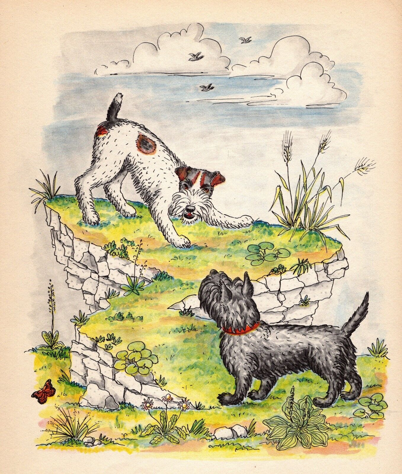 Vintage 1950s Fox Terrier Scottish Terrier Print Wall Art A M Jauss Dog Art 5362