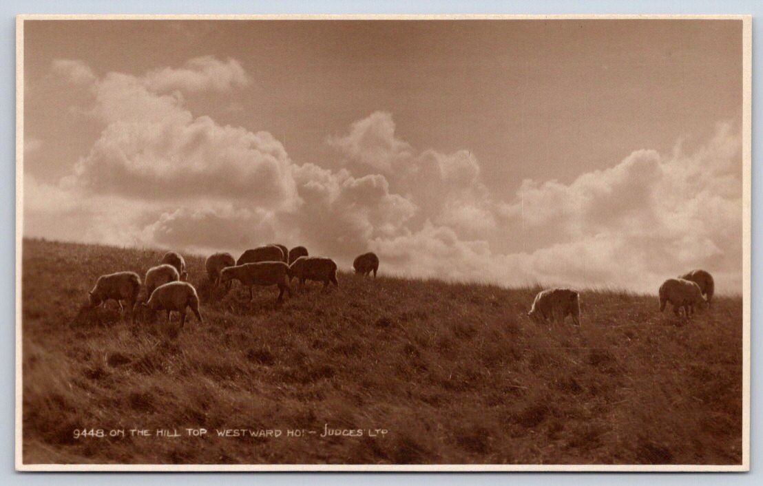 Antique England Postcard Westward HO Sheep on the Hill Top 1920s