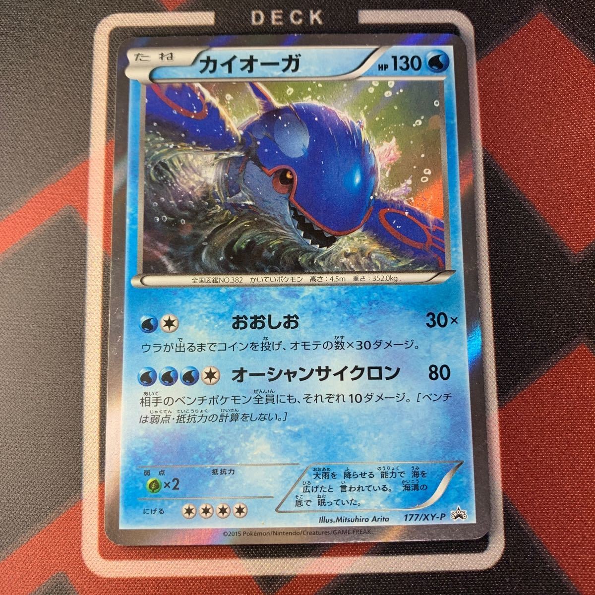 Pokemon Card Kyogre Kaiooga Promo 177/XY-P Holo Rare Japanese