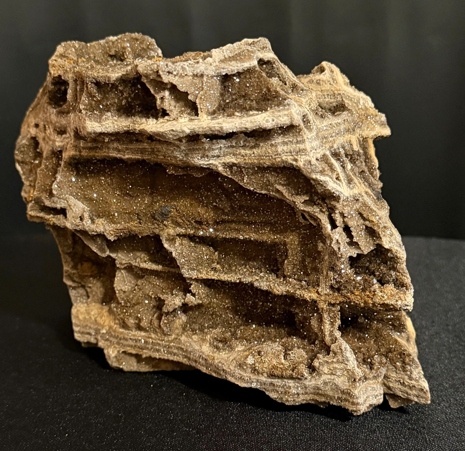 4 lb 9 oz Brilliant Petrified Wood - Termite Galleries - Druzy - UV Reactive