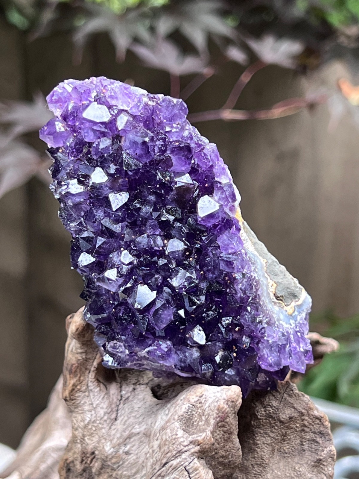 Amethyst Rosette Stalactite Cluster Uruguayan 239g 5 AAA+ Deep Purple