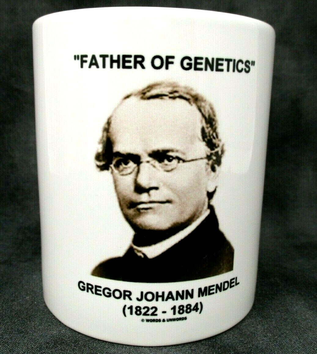 Gregor Johann MENDEL Father of Genetics Science Coffee Cup Mug