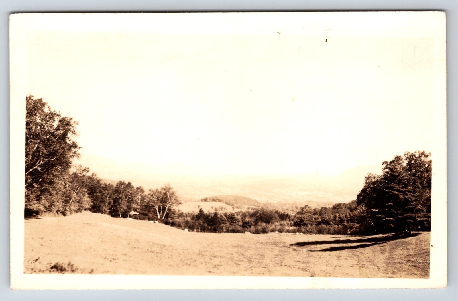 Postcard Unidentified RPPC,  Scenic View, Field, Tree Line, Mountains Beyond