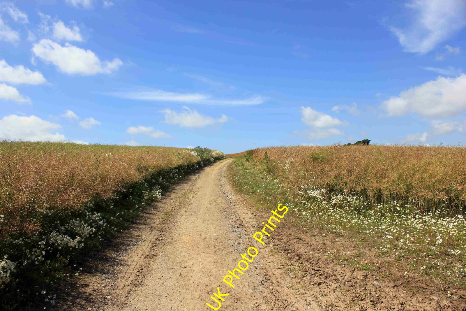 Photo A2 Footpath to Aston Grange Dutton Footpath heading west towards A c2014 Photo A2 Footpath to Aston Grange Dutton Footpath heading west towards A c2014