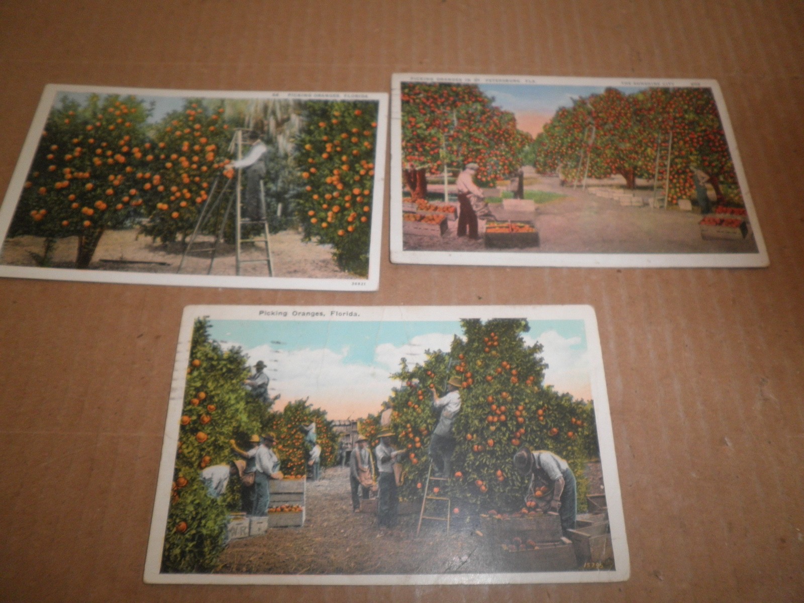 Three old original Florida Orange Themed Postcards 1920's - 1930's