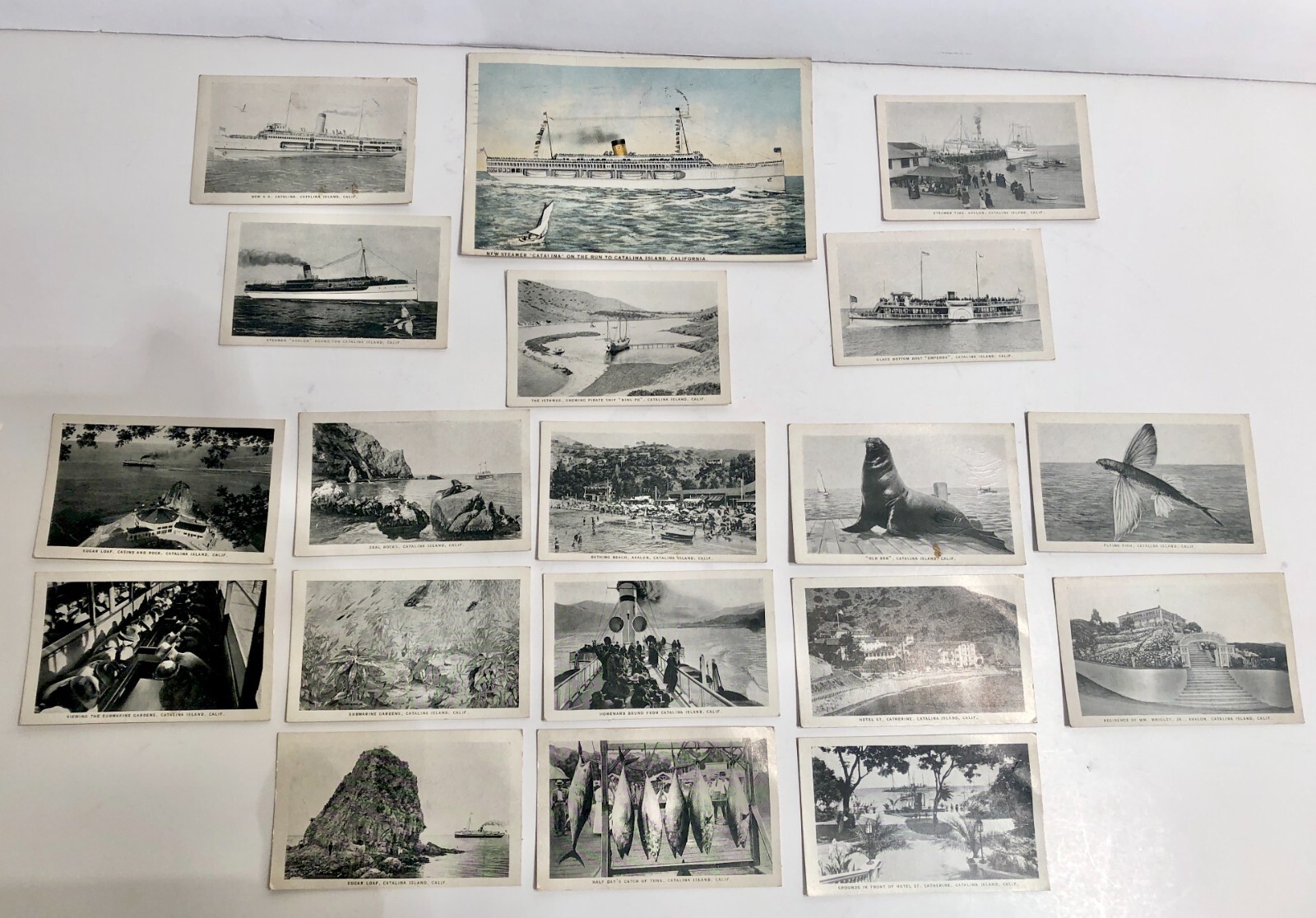 Vintage 1925 Photos Catalina Island CA Old Ben Sugarloaf Wrigley Lot Of 18 Pcs