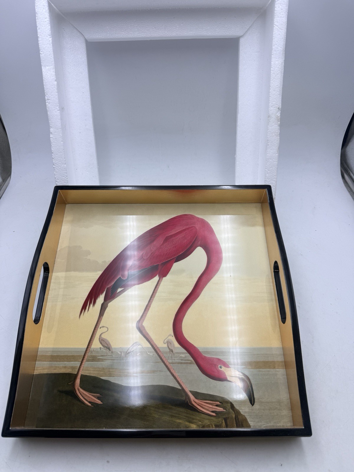 NEW Caspari Chatsworth Audubon Flamingo Lacquer Square Tray 14x14 13120LQSQR NOB