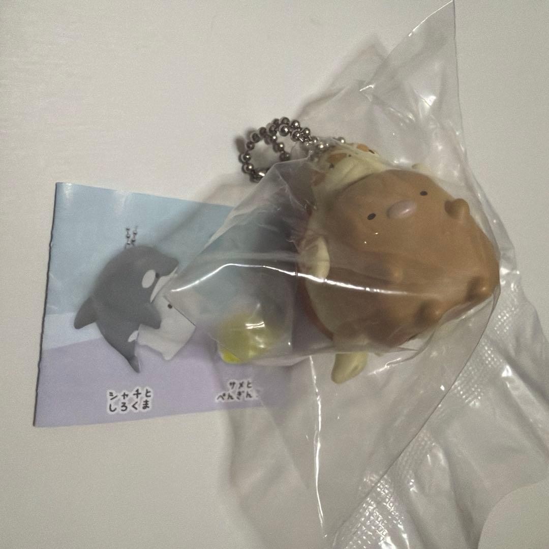 Kobe Suma Sea World Limited Sumikko Gurashi Mascot Sea Turtle Tonkatsu Kobe Suma Sea World Limited Sumikko Gurashi Mascot Sea Turtle Tonkatsu