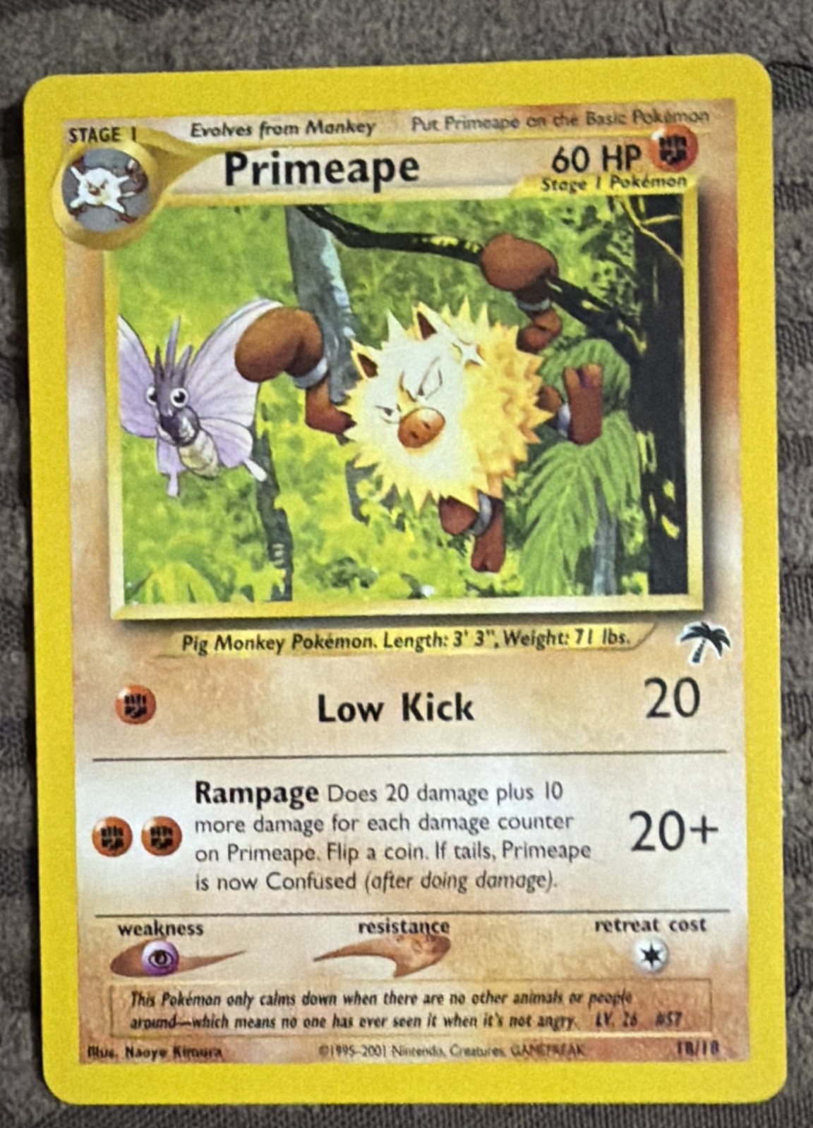 Primeape 18/18 Southern Islands Regular