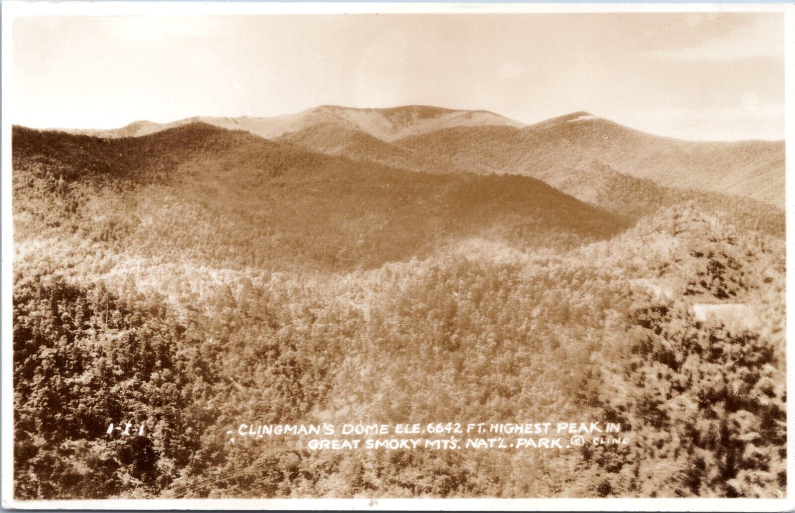 RPPC - Clingman's Dome, Great Smoky Mountains NP- Tennessee - Cline Photo c1930s