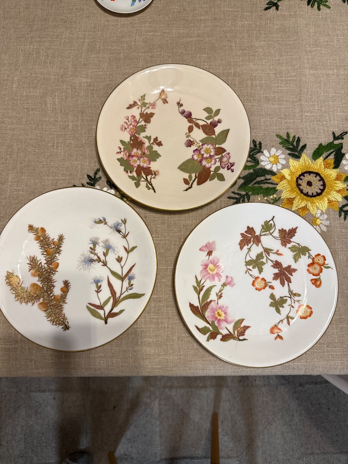 Antique Royal Worcester Plates Set of 3 Hand Painted Botanical Gold W1701 W1699