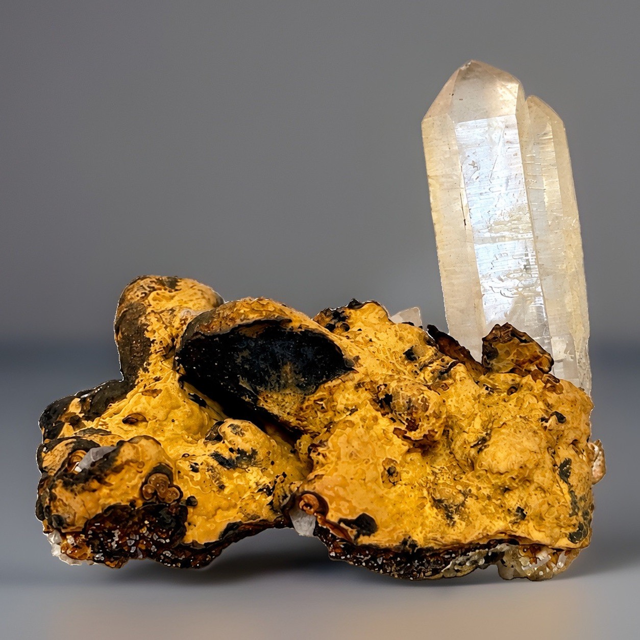“Cookie Ridge” Hashupi Himalayan Limonitic Iron Matrix Oxidation Quartz Crystal