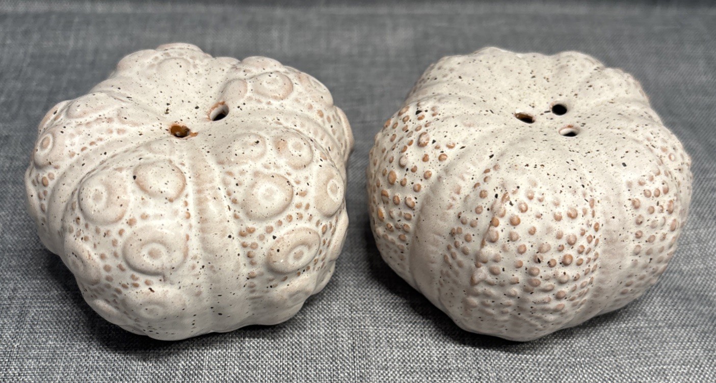Stoneware Natural Sea Urchin Salt And Pepper Shakers New And In Great Condition