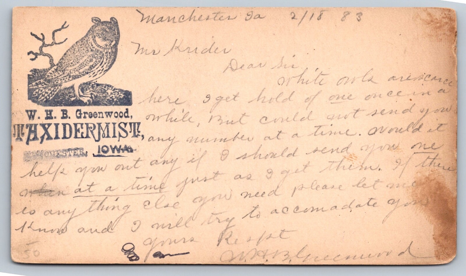 1883 UX7 scarce MANCHESTER IOWA TAXIDERMIST W.H.B GREENWOOD Owl graphic postcard 1883 UX7 scarce MANCHESTER IOWA TAXIDERMIST W.H.B GREENWOOD Owl graphic postcard