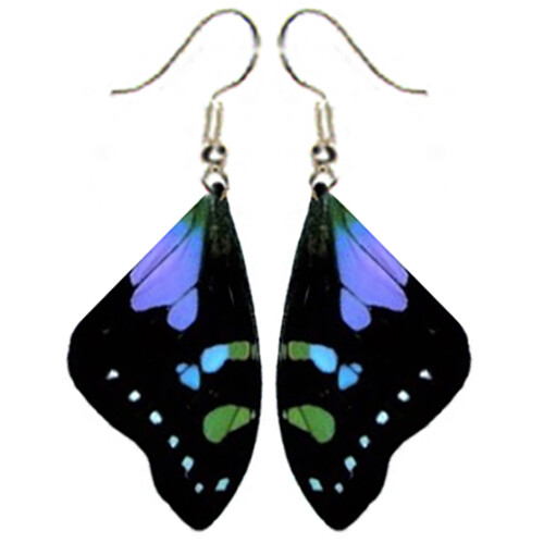 Graphium weiskei forewing purple blue green preserved butterfly wing earrings