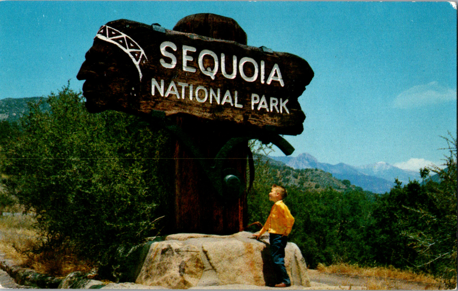 Vintage C. 1960's Redwood Carved Entrance Sign Sequoia National Park  Postcard