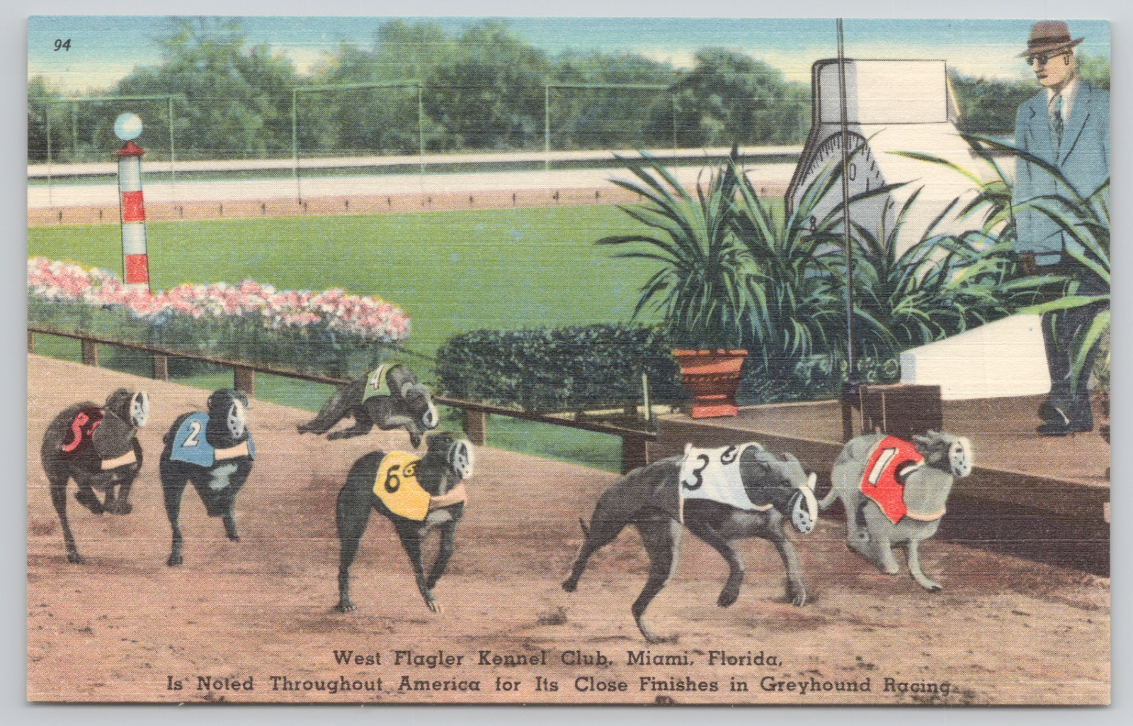 Miami Florida West Flagler Kennel Club Greyhound Racing Linen Postcard