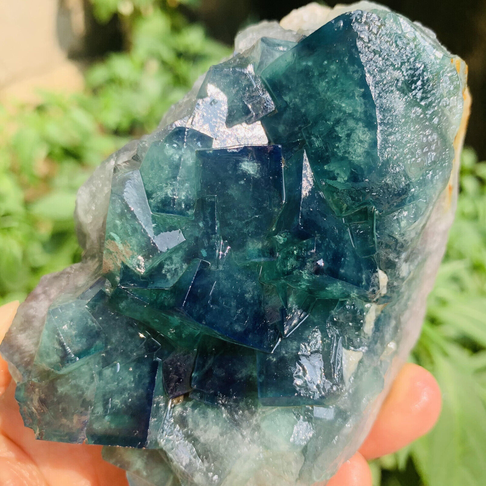 1.25LB  Natural Green FLUORITE Quartz Crystal Cluster Mineral Specimen