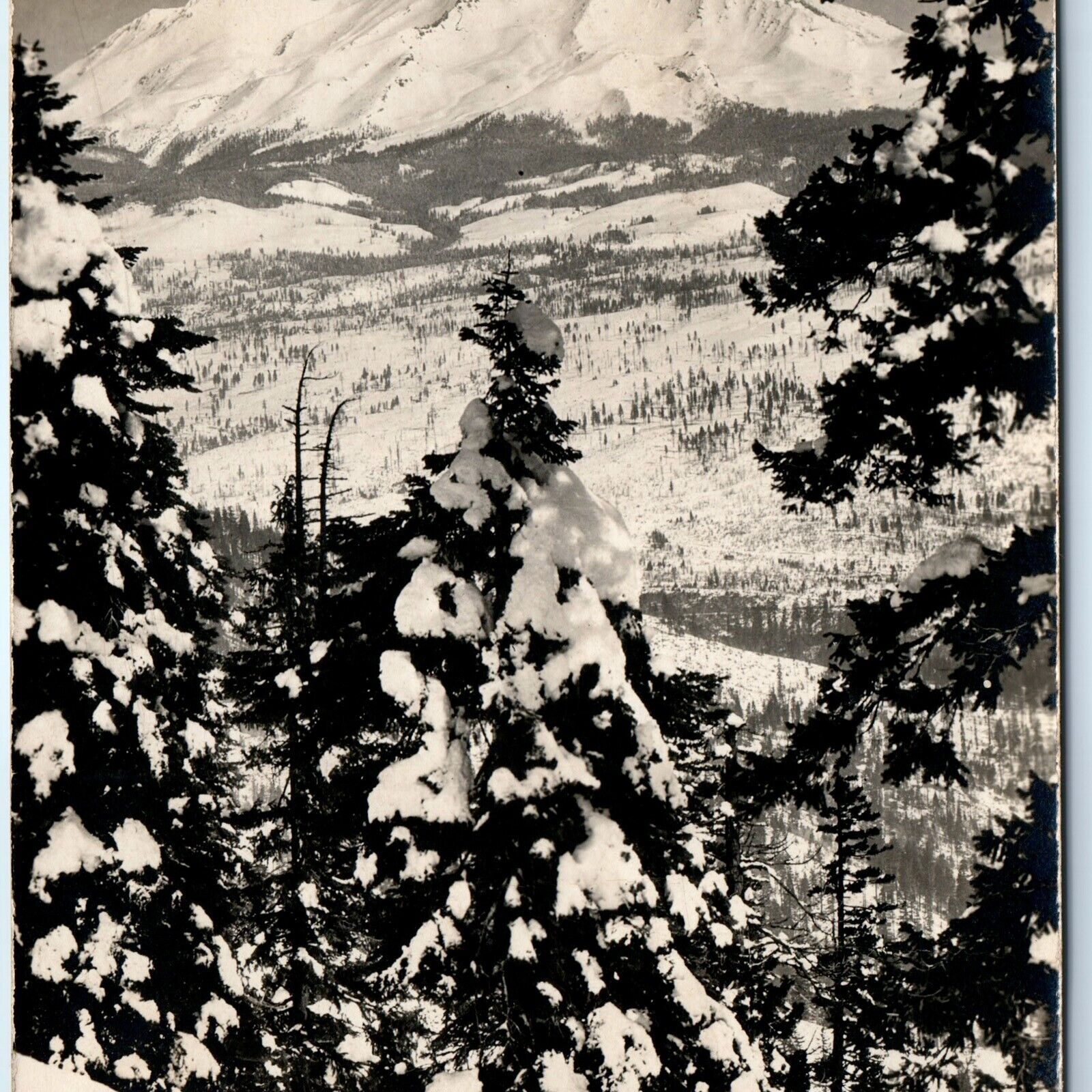 c1910s Mt Shasta Mountain RPPC Snow Peak PJ Standar Real Photo PC Dunsmuir A127