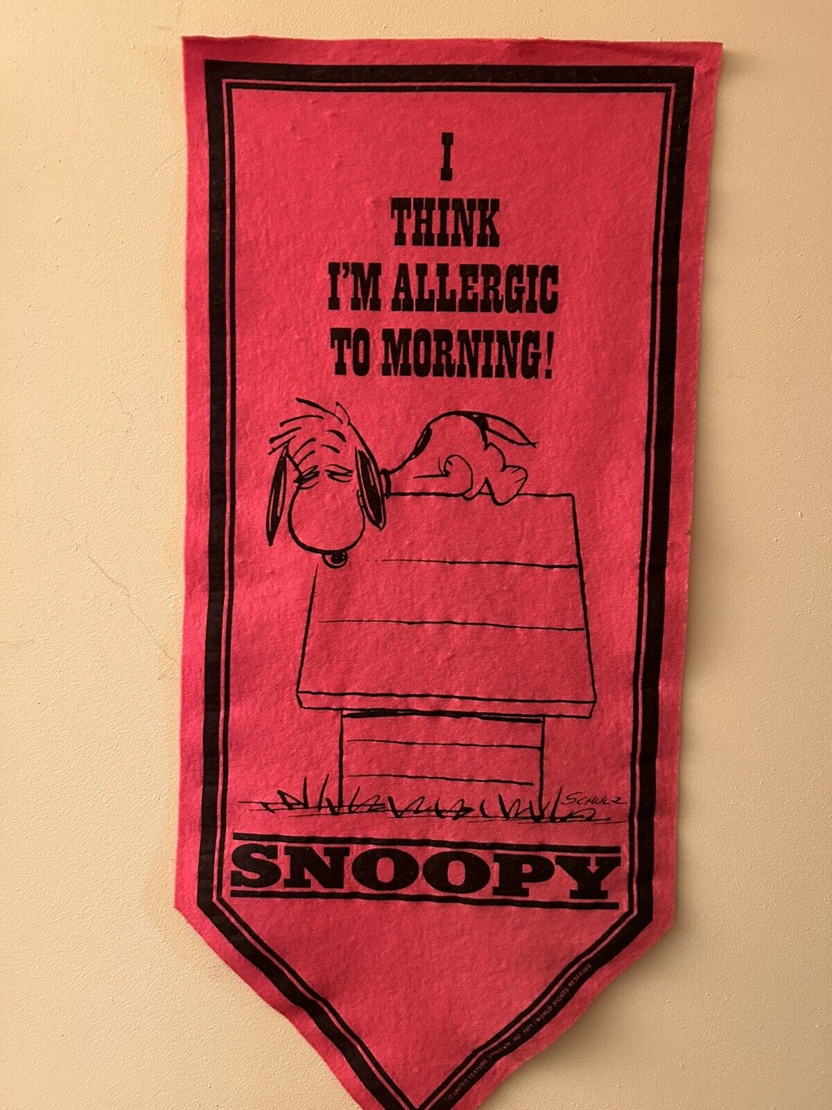 RARE ~ Vintage 1968 Peanuts Snoopy Red 