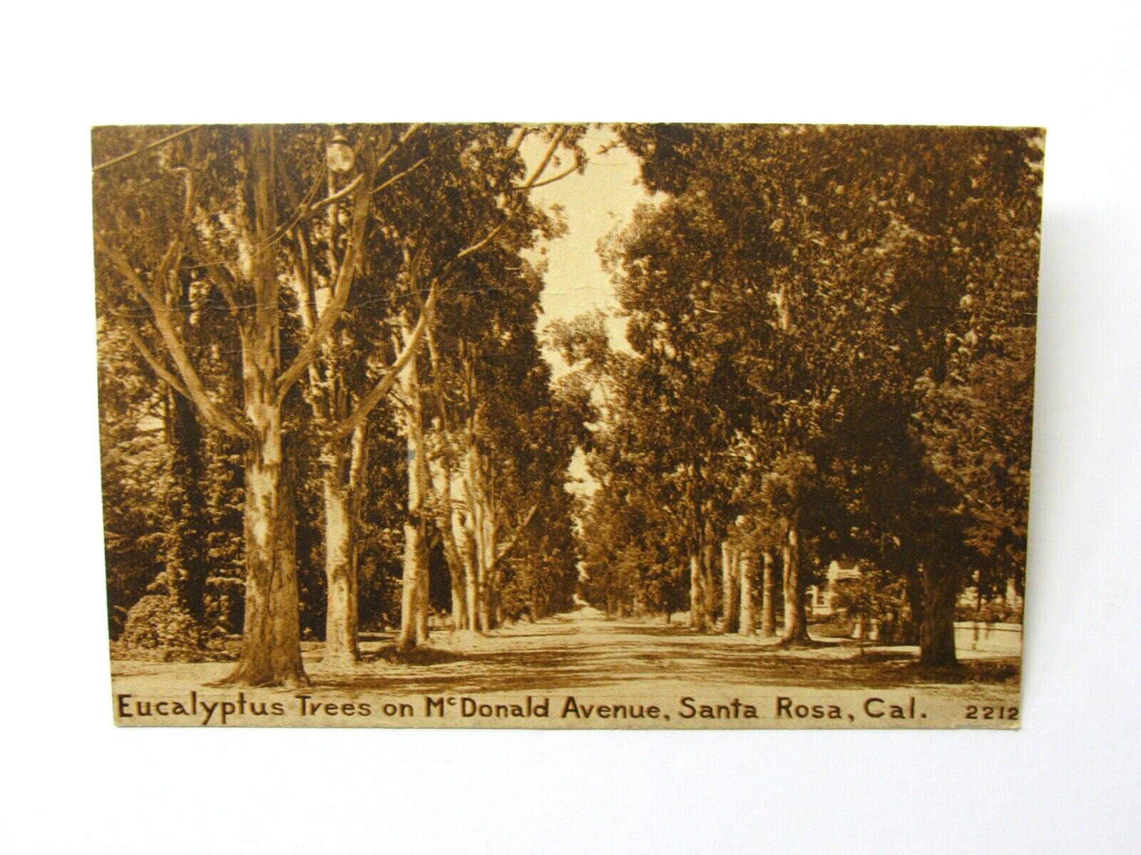 Historic McDonald Avenue Santa Rosa California Postcard 1918 Sonoma County