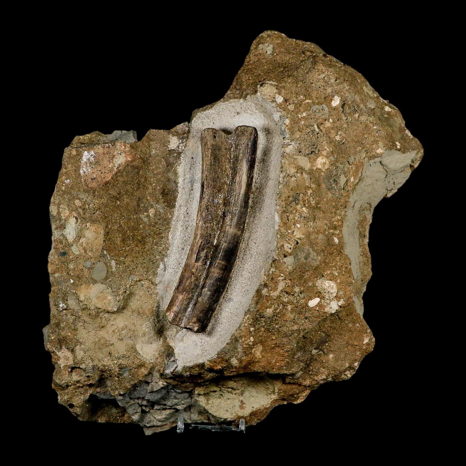 5.1\