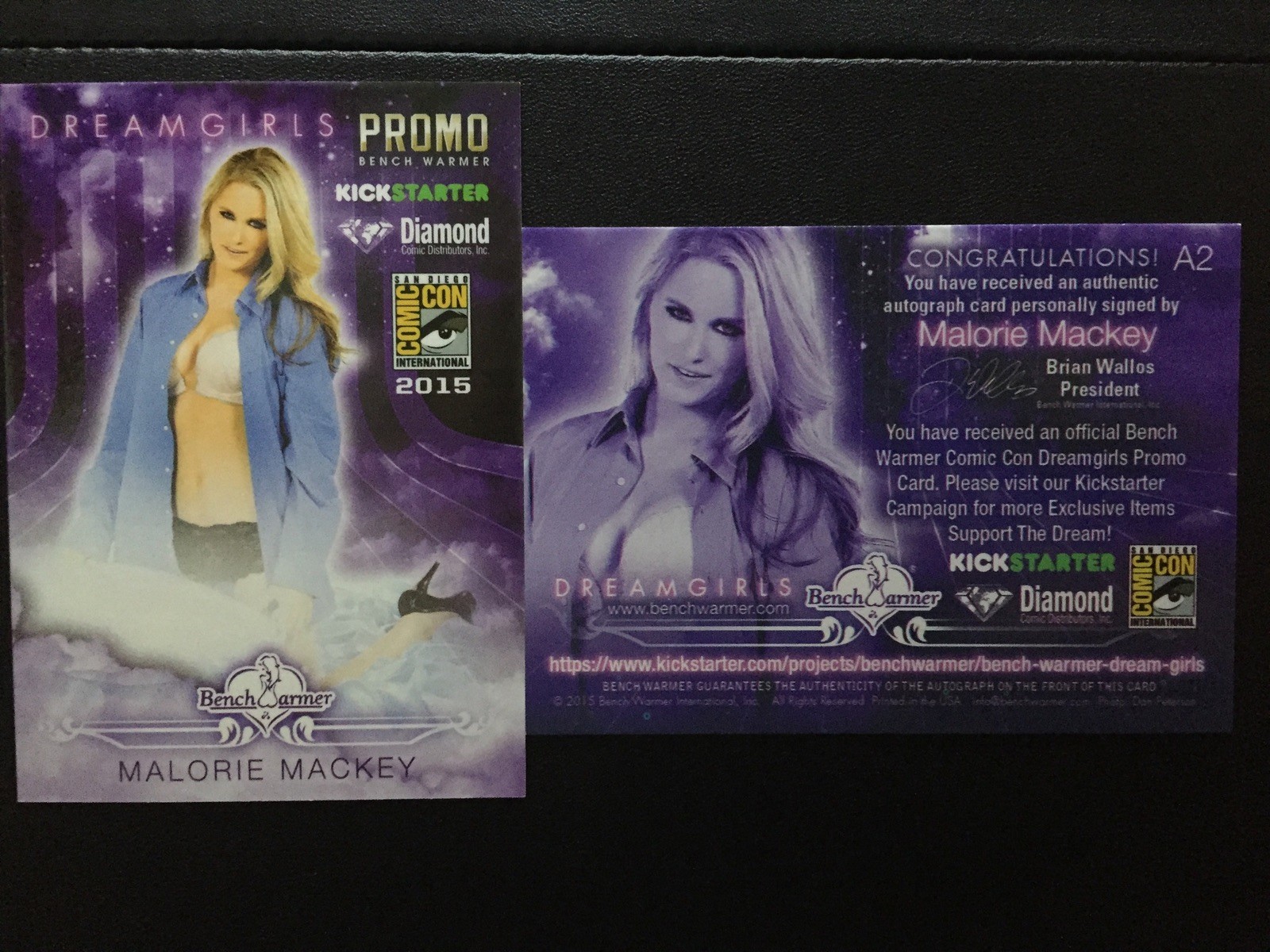 2015 SDCC EXCLUSIVE Benchwarmers Promo Dream Girls Card A2 Malorie Mackey