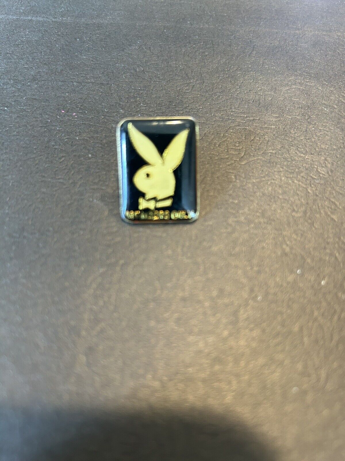 Vintage Members Only Playboy Pin
