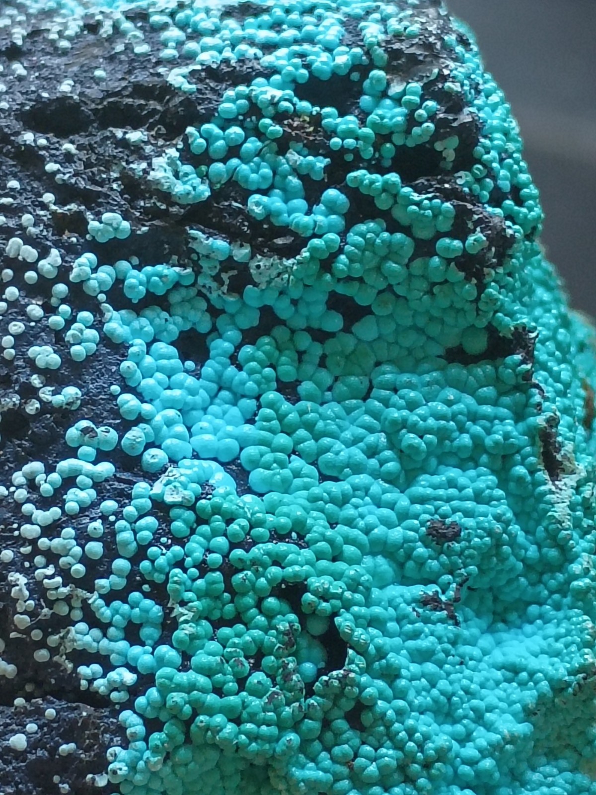 Chrysocolla Pseudomorph Malachite Arizona Mineral Planet Mine