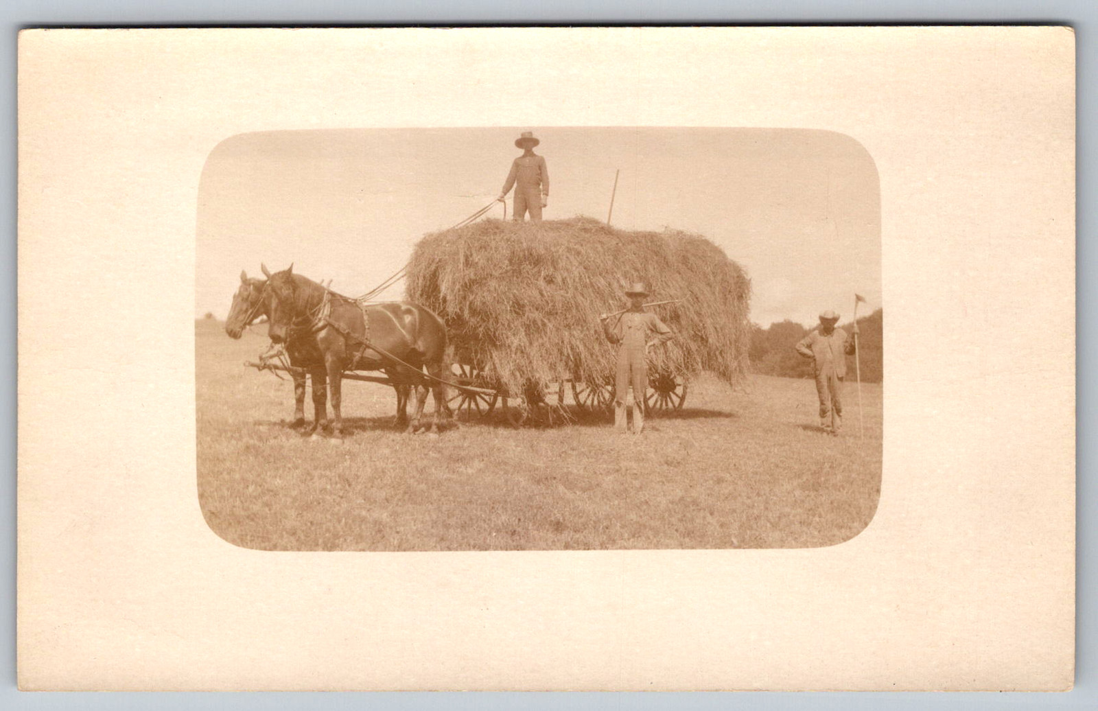 RPPC c1910s Farmers Harvesting Hay Wagon Team of Horses Agriculture Postcard