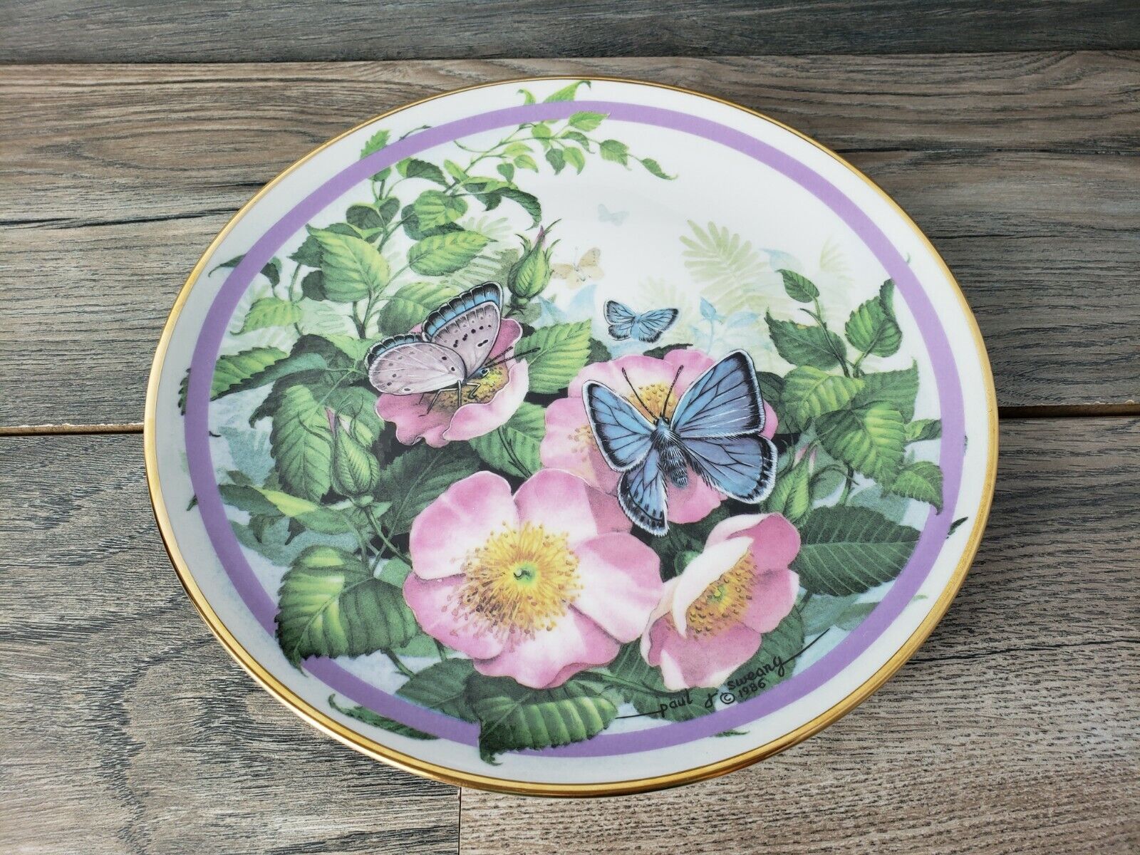 Hamilton Collection Butterfly Garden Common Blue Paul Sweany Collectors Plate 
