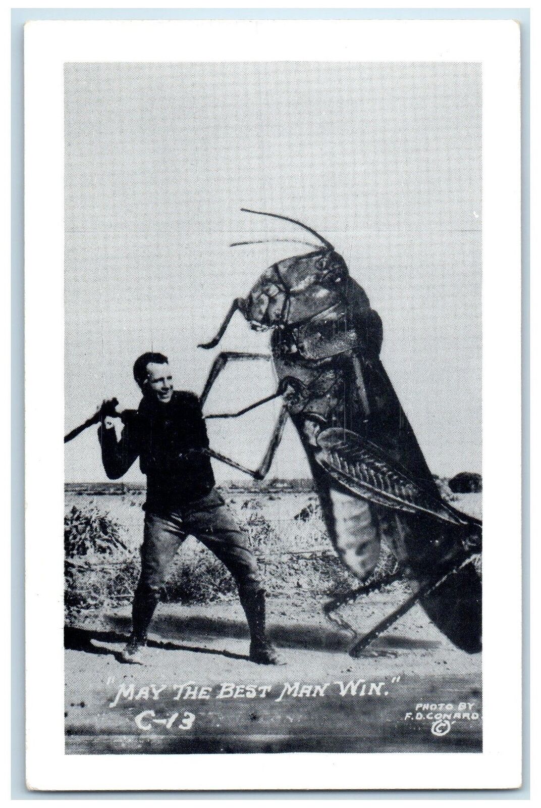 c1940's May The Best Man Win Exaggerated Cockroach Dodge City Kansas KS Postcard