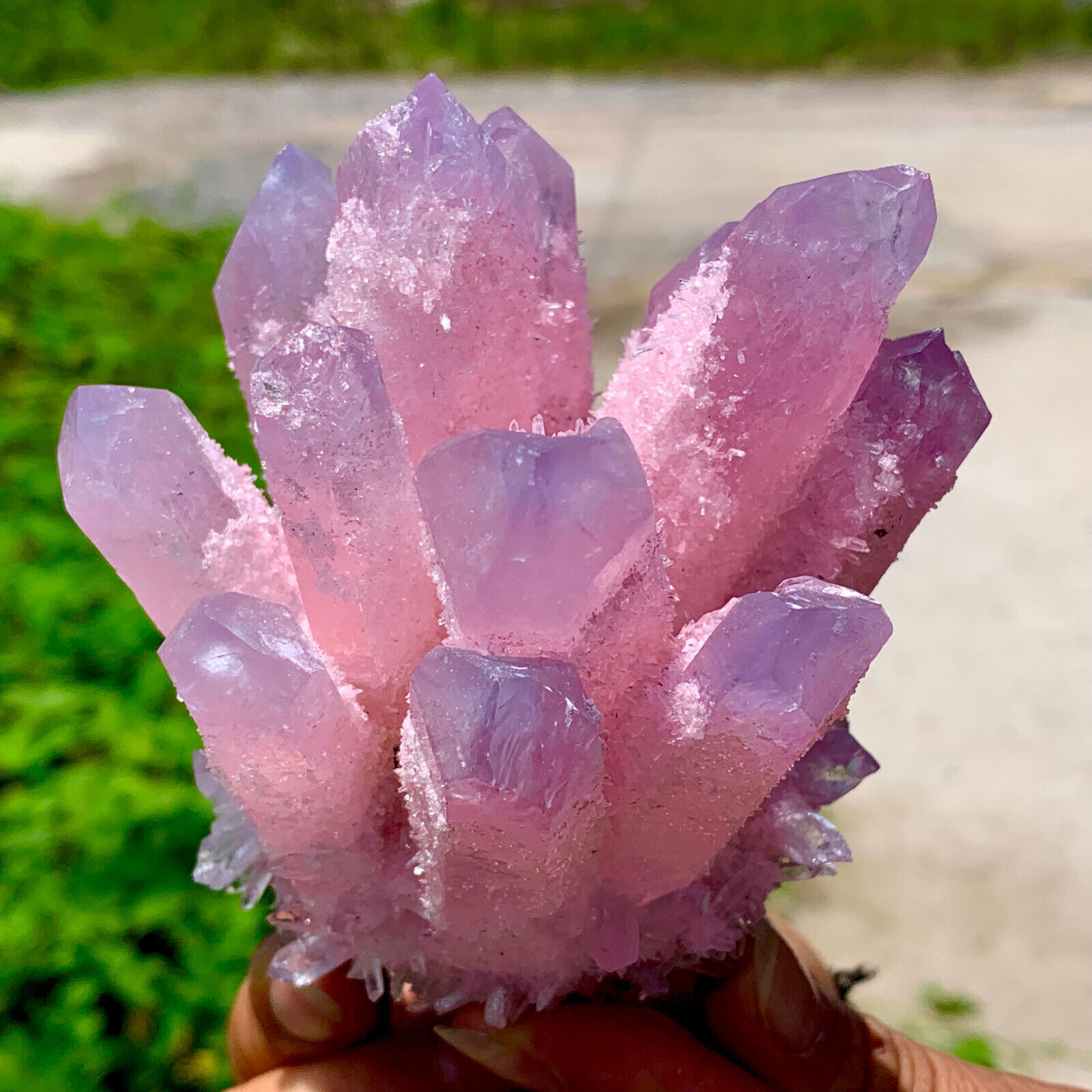 1.1LB Newly Discovered Pink Phantom Quartz Crystal Cluster Mineral